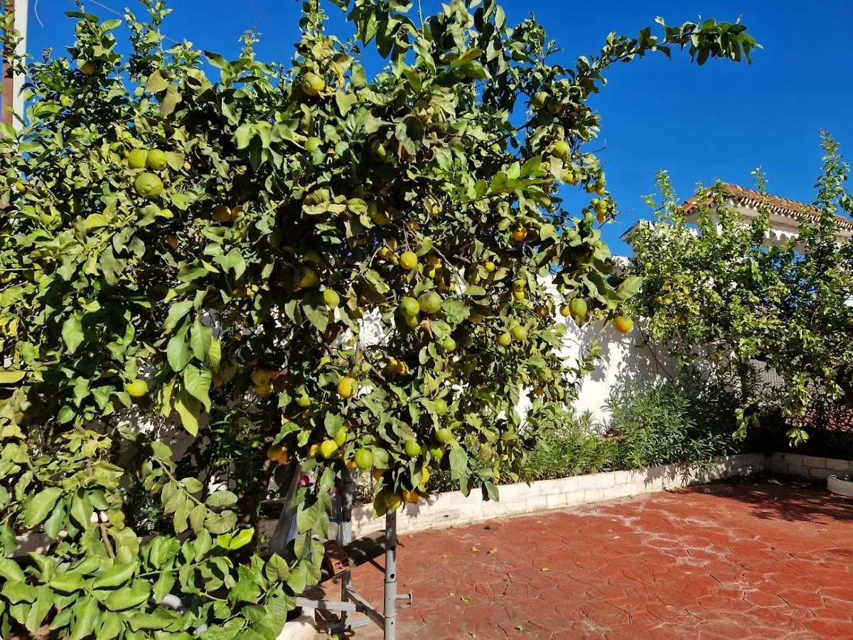 Villa Costa Marbella 0*,